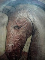 /album/obra-en-venta/detalle-caballo-cafe-jpg/